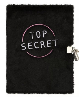 Carnet secret Top secret -...