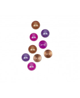 Billes Papillon - Die Spiegelburg