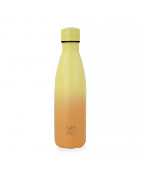 Bouteille isotherme dégradé...