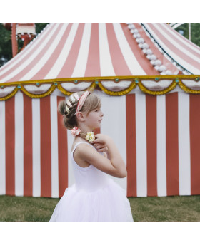 Barrettes Etoile - Rockahula